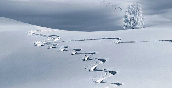 sneg i planina