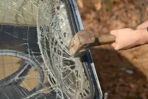 Kasko i vandalizam trećeg lica